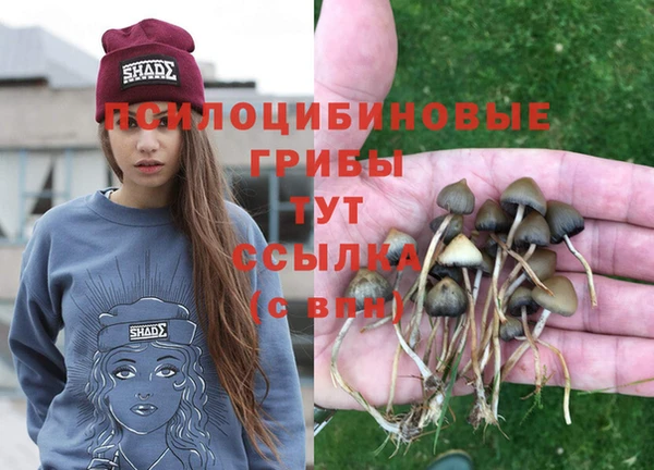 амф Алексин