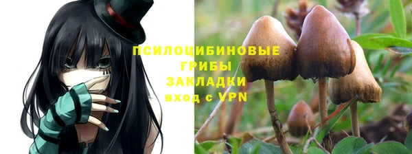 герыч Алексеевка