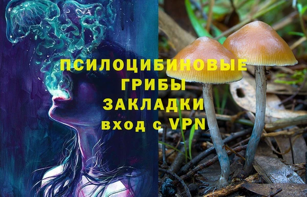 амф Алексин